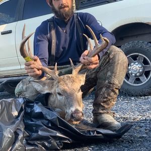 Meet your Posher, Tyler